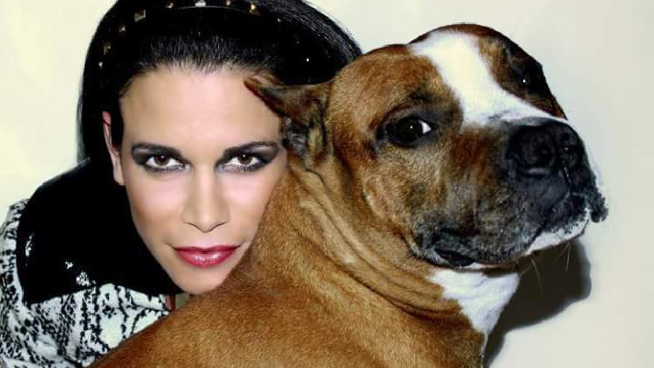 Šibenčanka Sanja Dorbić u Madridu ima školu stranih jezika, a kroz godine je čuvala više od 500 pasa