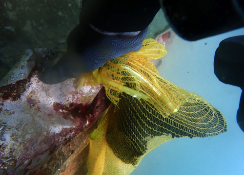 Fotografija 2 - Ronioci objavili što su sve zatekli pod morem na Marinskoj: Gume, gume, gume... i jedan krov!