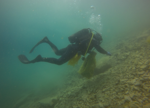 Fotografija 3 - Ronioci objavili što su sve zatekli pod morem na Marinskoj: Gume, gume, gume... i jedan krov!