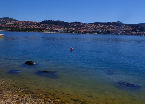 Fotografija 6 - Ronioci objavili što su sve zatekli pod morem na Marinskoj: Gume, gume, gume... i jedan krov!