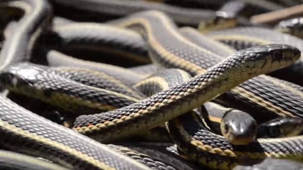 Sve najčešće noćne more: Što znače i što trebamo promijeniti?