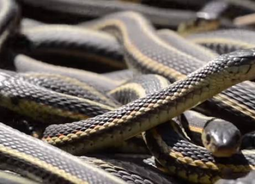 Sve najčešće noćne more: Što znače i što trebamo promijeniti?