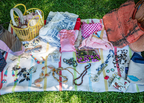 Fotografija 7 - Ispred Azimuta održan prvi Buvljak nakon korona pauze: Opuštena kupovina, kava i druženje na travnjaku