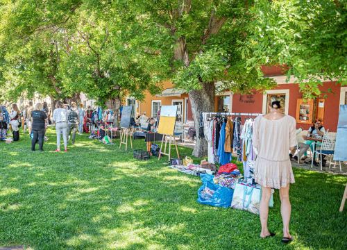 Fotografija 6 - Ispred Azimuta održan prvi Buvljak nakon korona pauze: Opuštena kupovina, kava i druženje na travnjaku