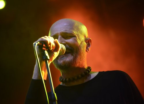 Regius festival najavio prva imena: Na Martinsku stižu Urban&4 i Svemirko