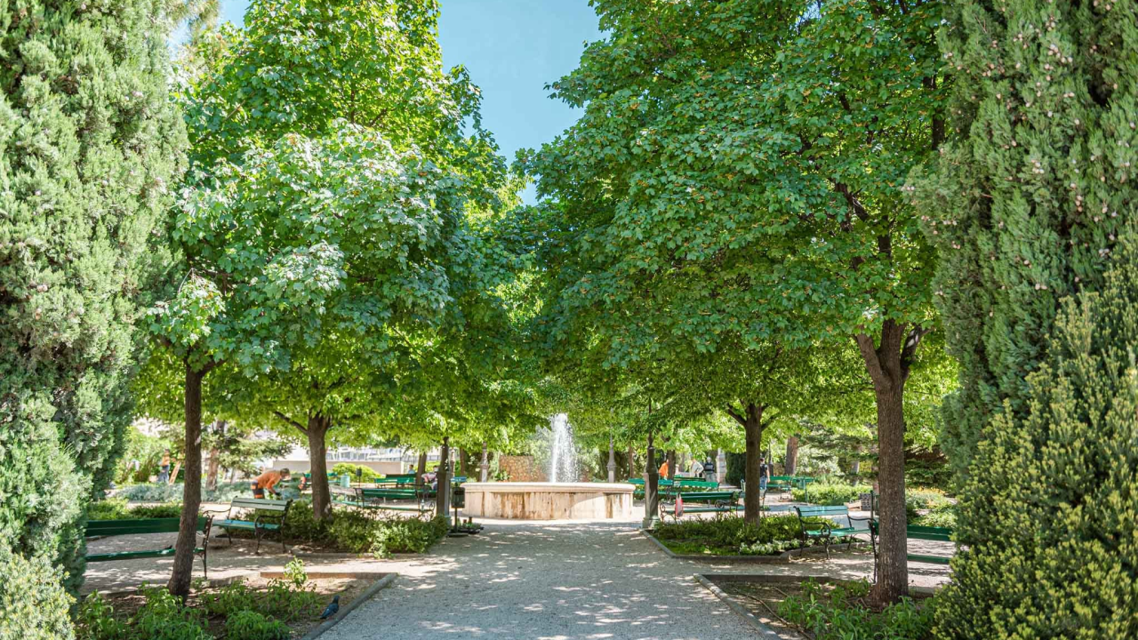U đardinu počinje Spring festival! Fina spiza iz šibenskih restorana, hladno piće i druženje pod krošnjama