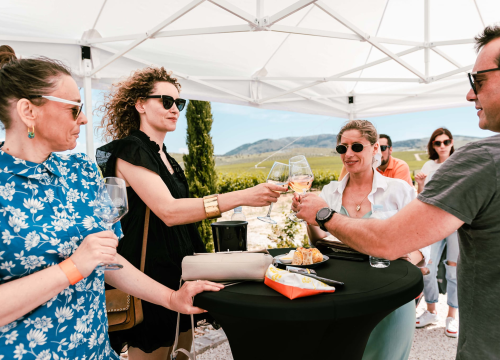 Fotografija 4 - Taste Like Dalmatia: Još danas imate priliku kušati vrhunska vina, maslinova ulja i craft pive, a u subotu na šibenskoj rivi čekaju vas pidoče i debit!