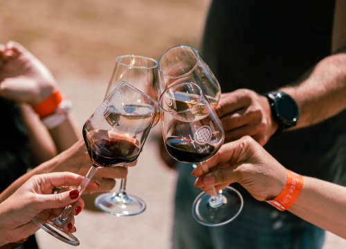 Fotografija 8 - Taste Like Dalmatia: Još danas imate priliku kušati vrhunska vina, maslinova ulja i craft pive, a u subotu na šibenskoj rivi čekaju vas pidoče i debit!