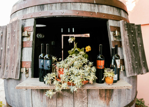 Fotografija 11 - Taste Like Dalmatia: Još danas imate priliku kušati vrhunska vina, maslinova ulja i craft pive, a u subotu na šibenskoj rivi čekaju vas pidoče i debit!