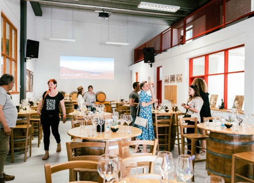 Fotografija 20 - Taste Like Dalmatia: Još danas imate priliku kušati vrhunska vina, maslinova ulja i craft pive, a u subotu na šibenskoj rivi čekaju vas pidoče i debit!