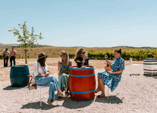 Taste Like Dalmatia: Još danas imate priliku kušati vrhunska vina, maslinova ulja i craft pive, a u subotu na šibenskoj rivi čekaju vas pidoče i debit!