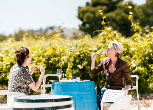 Fotografija 23 - Taste Like Dalmatia: Još danas imate priliku kušati vrhunska vina, maslinova ulja i craft pive, a u subotu na šibenskoj rivi čekaju vas pidoče i debit!