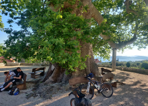 Fotografija 6 - Tomislav, Stipe i Ivan odvozili 1000 kilometara od Savudrije do Prevlake za korisnike kninske udruge
