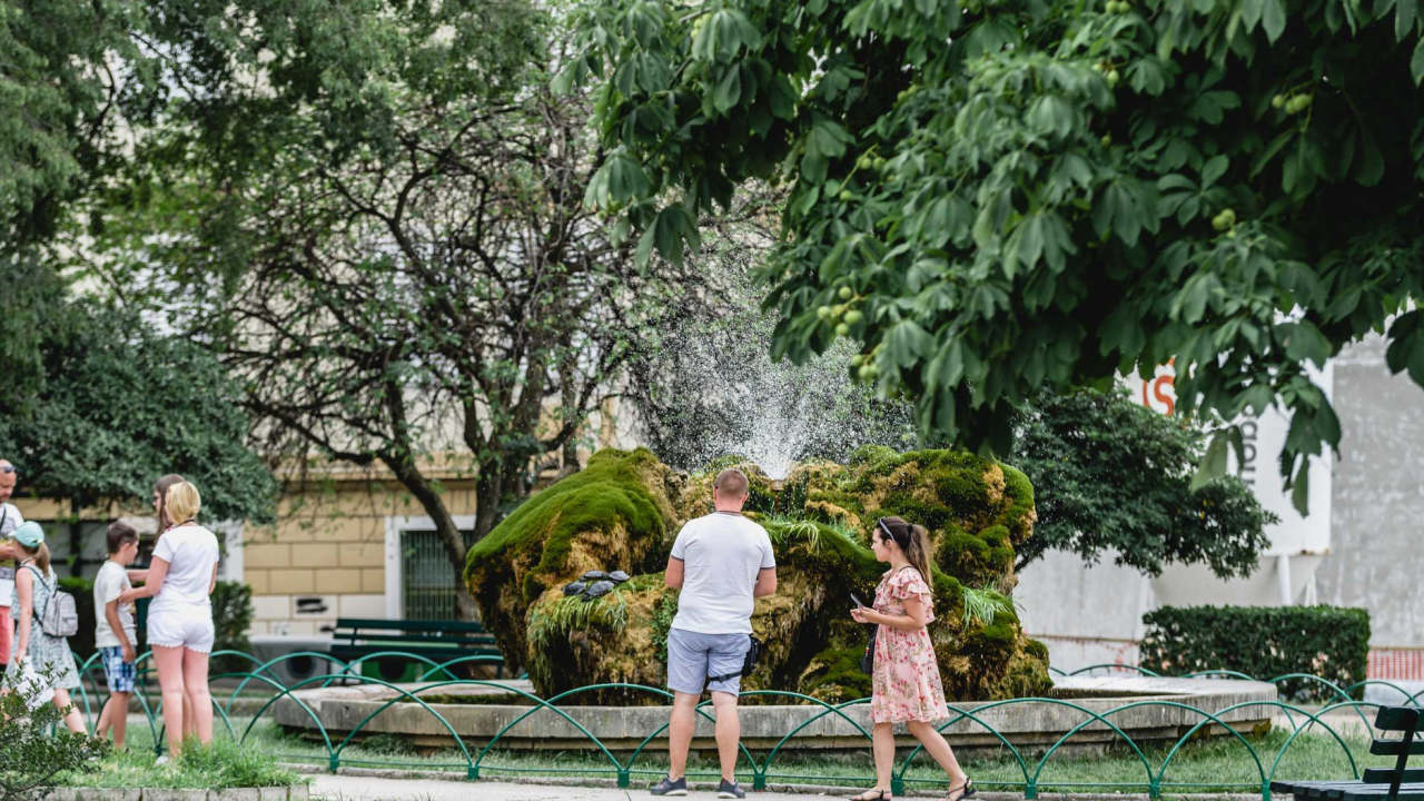 Danas obilježavamo Svjetski dan zaštite okoliša: 'Svi imamo ulogu u sprječavanju klimatskih promjena'