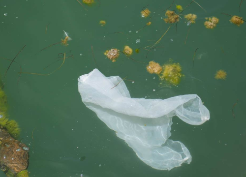 Većina plastike u morima pluta blizu obale