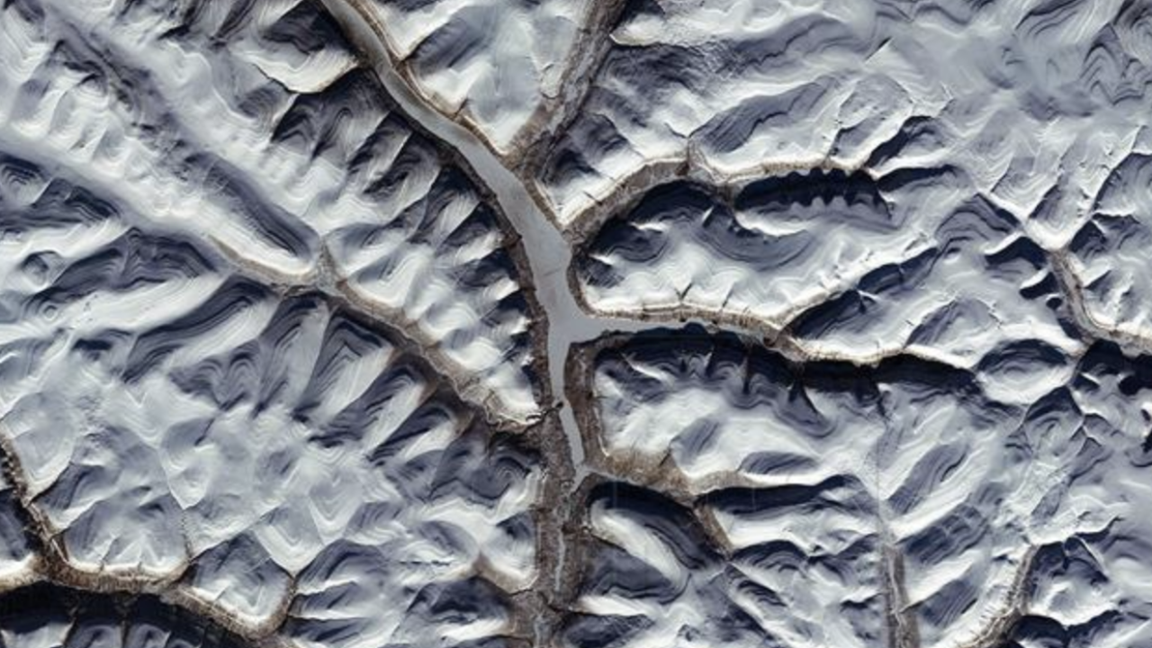 Crv 'oživio' nakon 24 tisuće godina u sibirskom permafrostu pa se aseksualno razmnožio