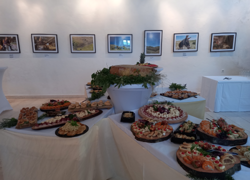 Fotografija 2 - Jeste li znali da je sir iz mišine primjenjiv u kulinarstvu i da može zamijeniti poznati parmezan?