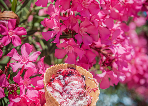 Fotografija 10 - Isprobali smo najbolje sladolede u centru Šibenika!