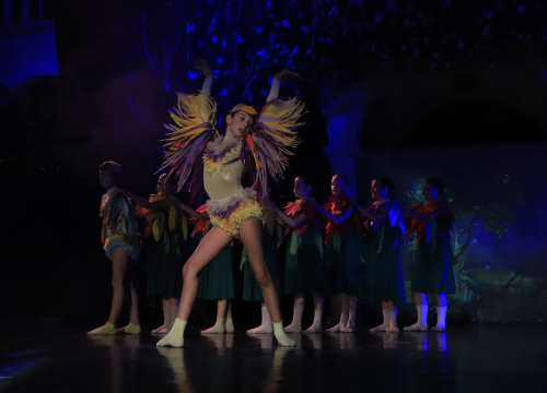 Fotografija 4 - Balet na Ljetnoj: 'Smračilo mi se, ali na kraju je ispalo bolje nego išta'