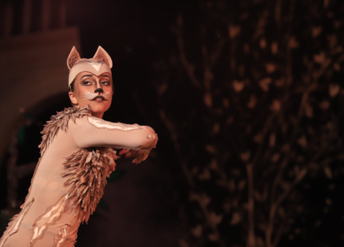 Fotografija 6 - Balet na Ljetnoj: 'Smračilo mi se, ali na kraju je ispalo bolje nego išta'