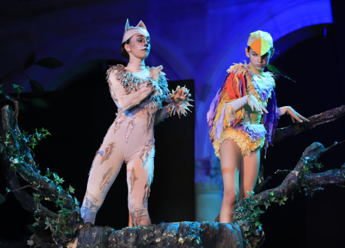 Balet na Ljetnoj: 'Smračilo mi se, ali na kraju je ispalo bolje nego išta'