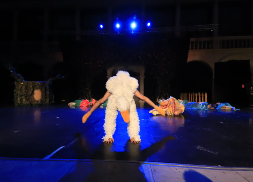 Fotografija 26 - Balet na Ljetnoj: 'Smračilo mi se, ali na kraju je ispalo bolje nego išta'