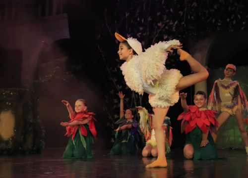 Fotografija 27 - Balet na Ljetnoj: 'Smračilo mi se, ali na kraju je ispalo bolje nego išta'