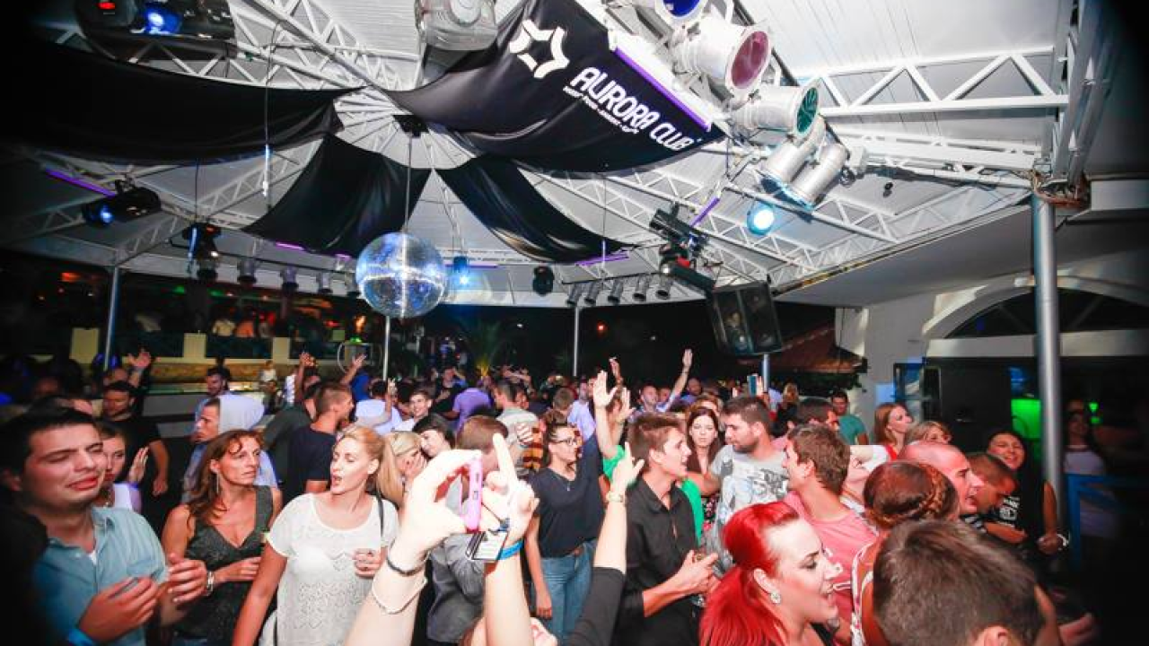 Kraljevi dalmatinske pisme u Aurori! Dalmatino stiže u kultni primoštenski klub