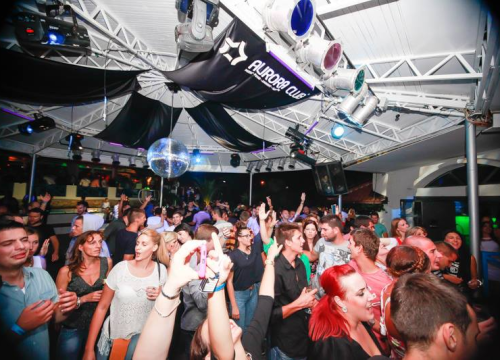 Kraljevi dalmatinske pisme u Aurori! Dalmatino stiže u kultni primoštenski klub