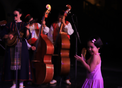 Fotografija 3 - Nedjelja na MDF-u: Na Poljanu stiže jedan neobičan labirint, a bit će svega i po trgovima i ulicama