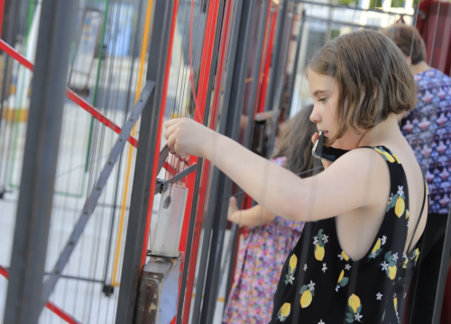 Fotografija 7 - Jeste li pokušali proći kroz labirint na Poljani?