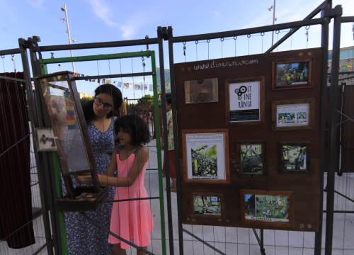 Fotografija 12 - Jeste li pokušali proći kroz labirint na Poljani?