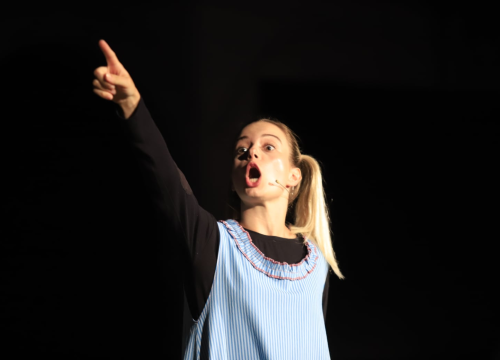 Fotografija 5 - Sisčani na Ljetnoj: 'U izvješću nije pisalo da će biti lutaka, ali mi to nije smetalo'