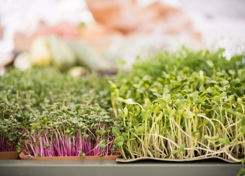 Fotografija 13 - Mala loža u novom ruhu: Provjerite ponudu lokalnih OPG-ova na Zelenoj tržnici!