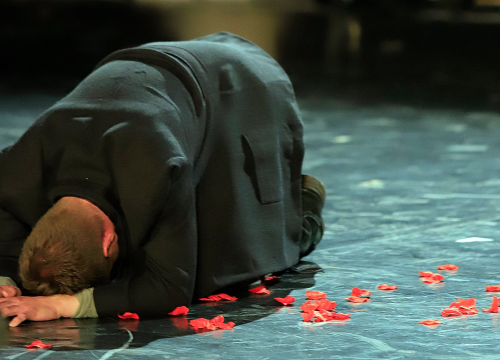 Fotografija 5 - Gradsko kazalište Trešnja na MDF-u: 'Nije bilo traćenje vremena!'