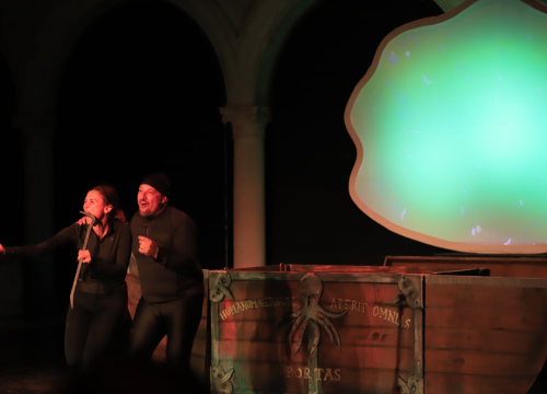 Fotografija 10 - 'Adriatiko' na Ljetnoj pozornici: 'Pao mi je mrak na oči'