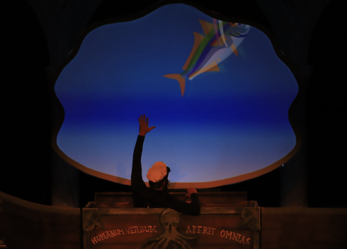 Fotografija 11 - 'Adriatiko' na Ljetnoj pozornici: 'Pao mi je mrak na oči'