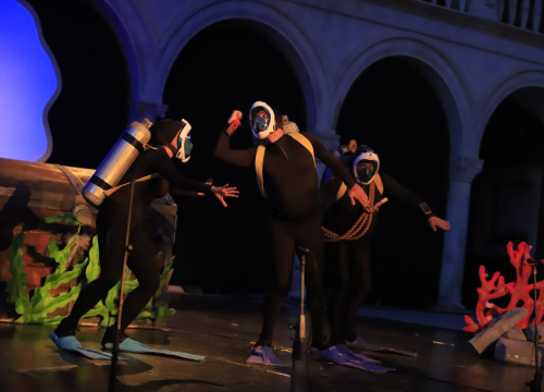 Fotografija 13 - 'Adriatiko' na Ljetnoj pozornici: 'Pao mi je mrak na oči'