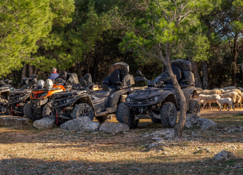 Fotografija 19 - Iskoristite popust za domaće i upustite se u jedinstvenu avanturu quadovima!
