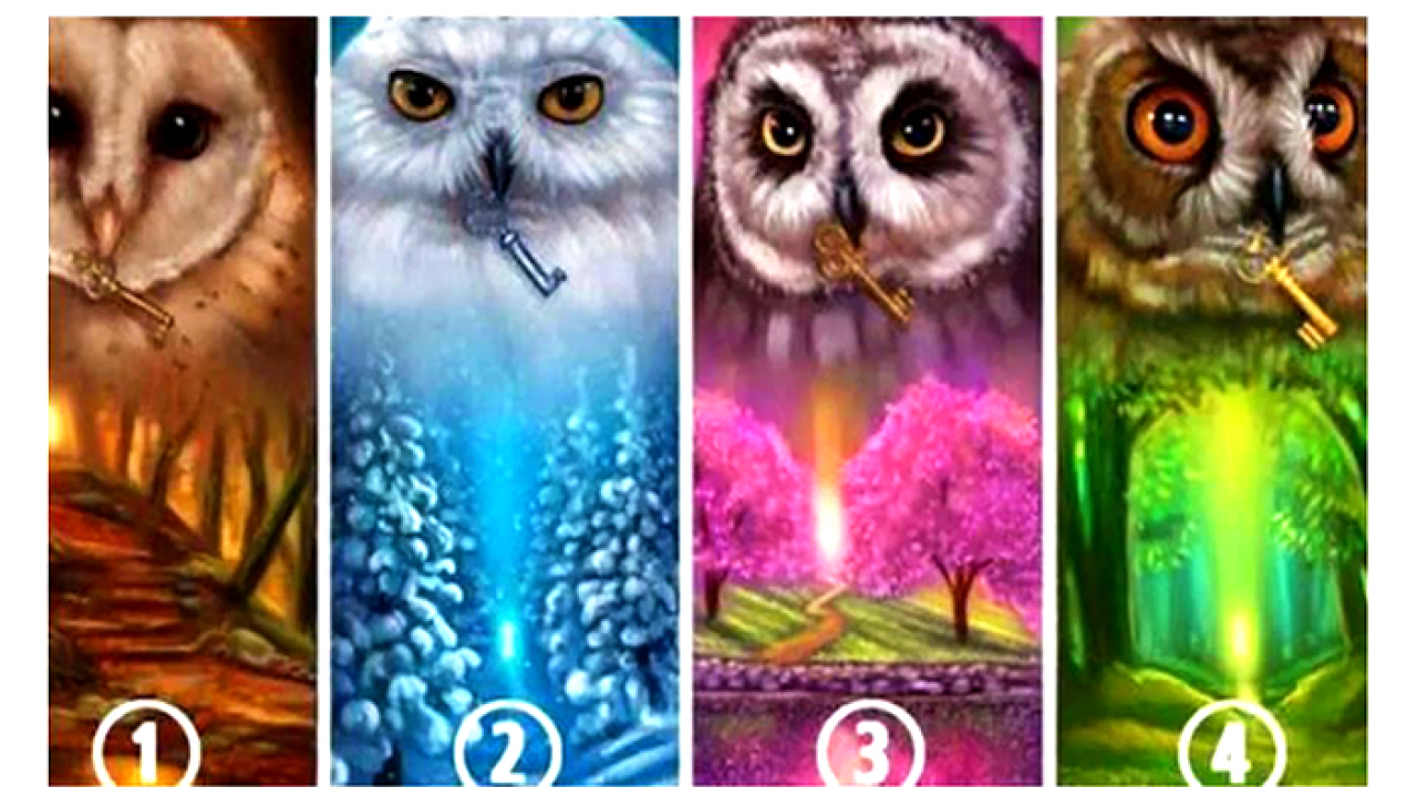 Odaberite sovu i otkrijte skrivene tajne vaše osobnosti