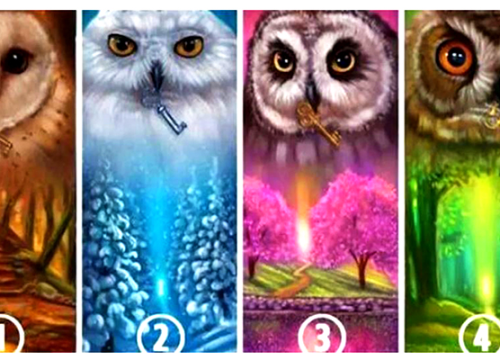 Odaberite sovu i otkrijte skrivene tajne vaše osobnosti