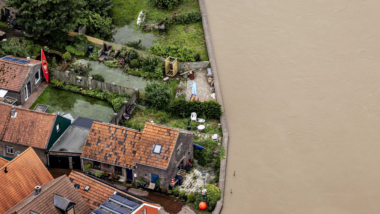 Krava spašena nakon što ju je poplava odnijela 100 kilometara od farme