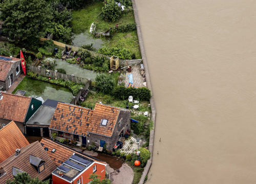Krava spašena nakon što ju je poplava odnijela 100 kilometara od farme