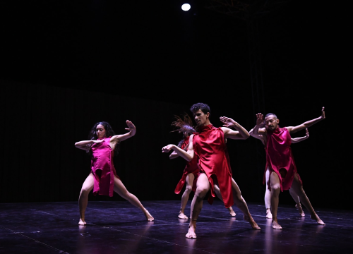 Fotografija 2 - Riječka 'Plamteća voda' otvorila Šibenik Dance Festival: Krešimirov grad postao centar plesa