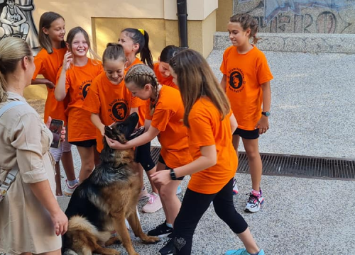 Fotografija 2 - Ivana Guberina s mladom ekipom snima film o Draženu: Danas su pregledali školske ocjene šibenskog virtuoza