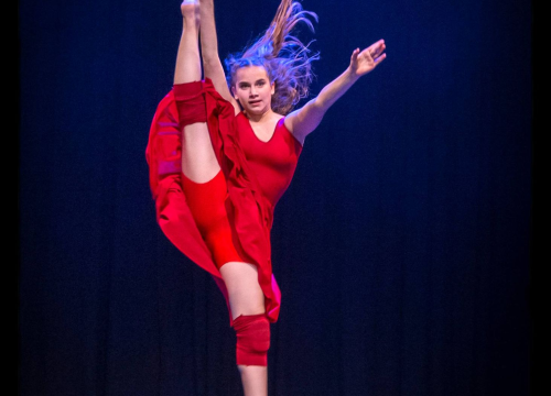 Fotografija 2 - Poljanu zaposjedaju mladi plesači!