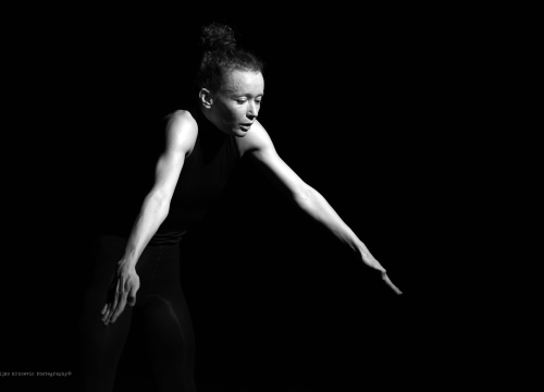 Fotografija 7 - Srpske i mađarske plesačke zvijezde oduševile publiku u Kući umjetnosti Arsen