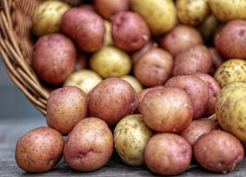 Znate li kako se čuva krumpir? Spriječite proklijavanje uz samo jednu jabuku