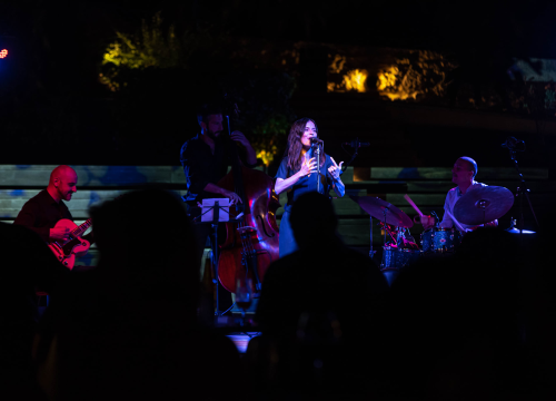 Fotografija 2 - Vesna Pisarović na Baroneu: Ugodno, intenzivno i drugačije