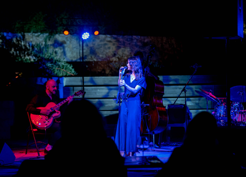 Fotografija 3 - Vesna Pisarović na Baroneu: Ugodno, intenzivno i drugačije